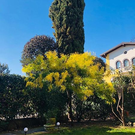 Casa Mimosa Leilighet Salò Eksteriør bilde